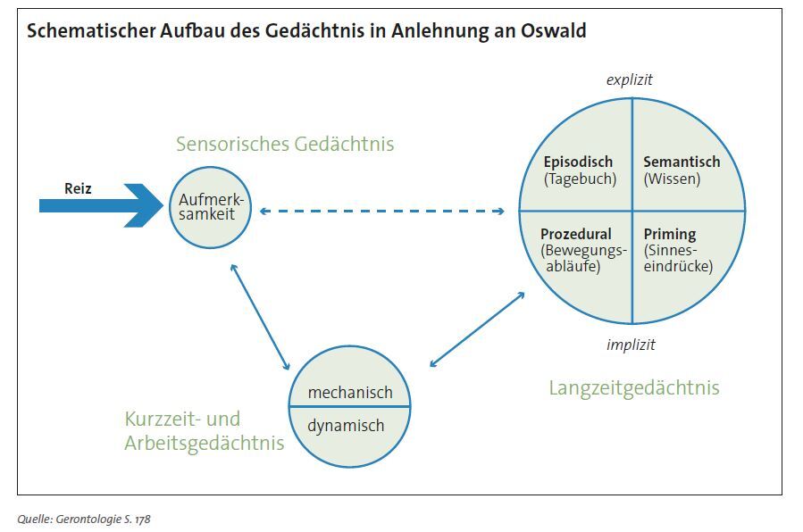 Wirtschaftsfaktor Alter: Körperliche Veränderungen verstehen ...